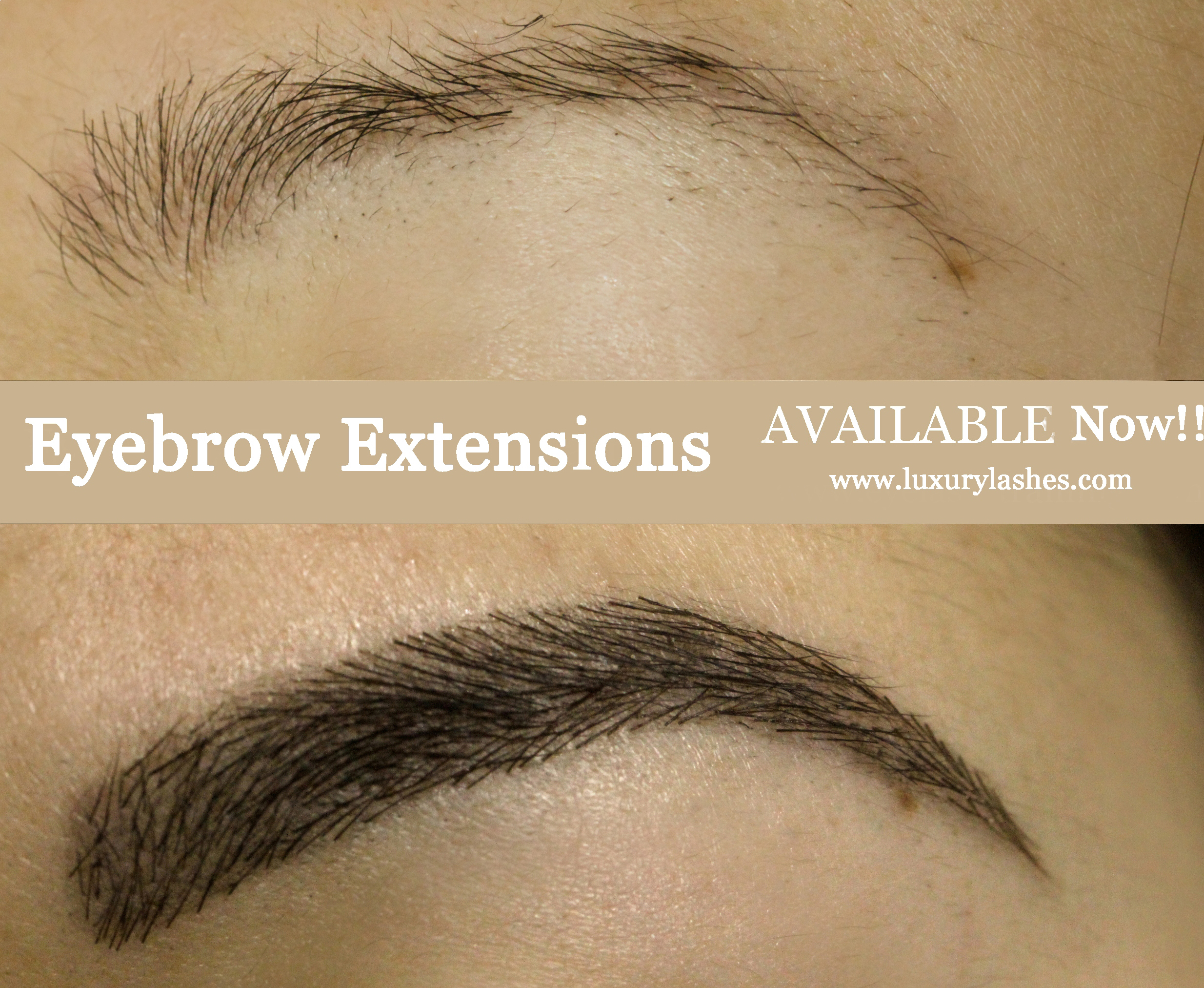 apply thick long eyebrow extensions in ny