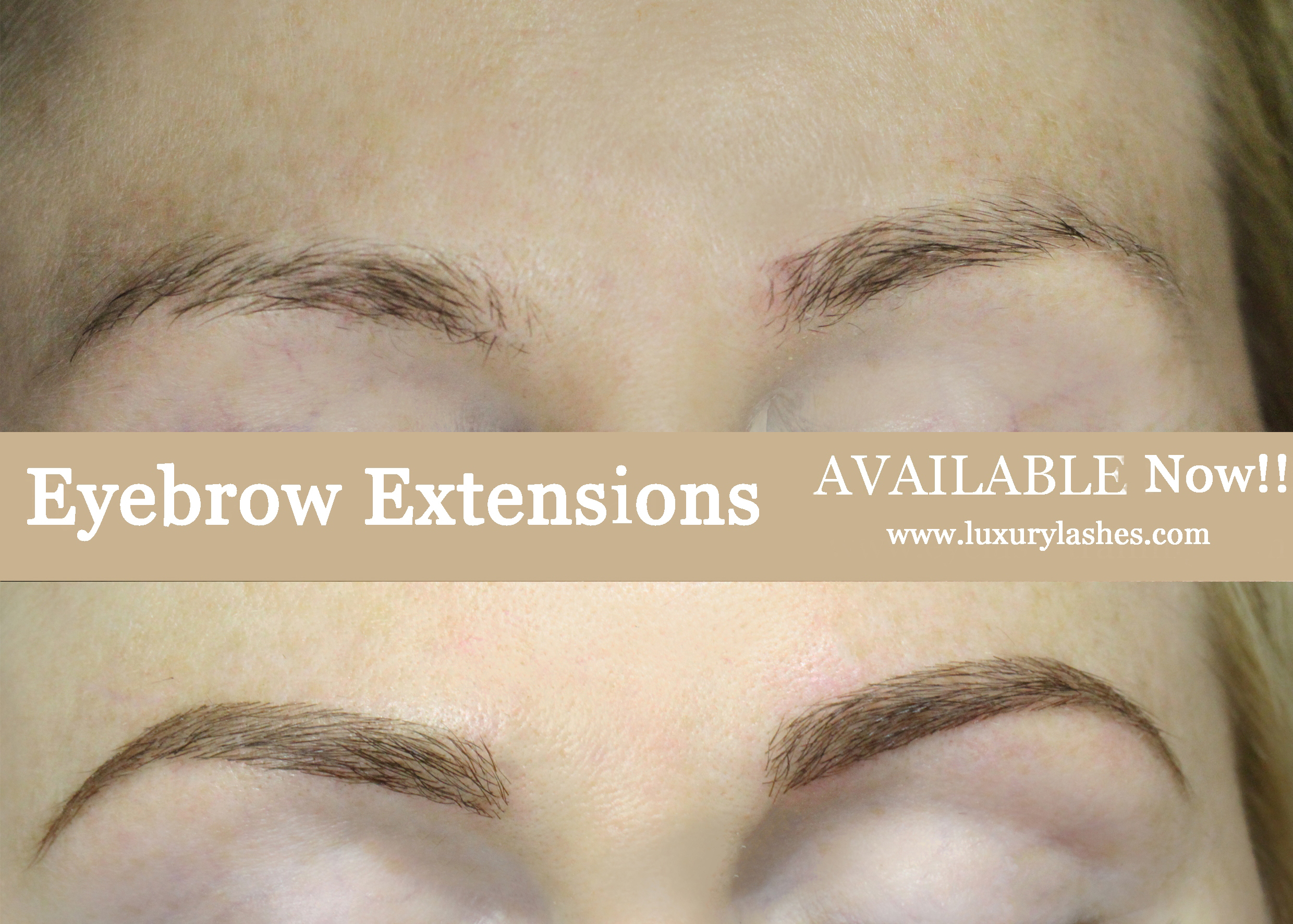 synthetic hypoallergenic eyebrow extensions ny service