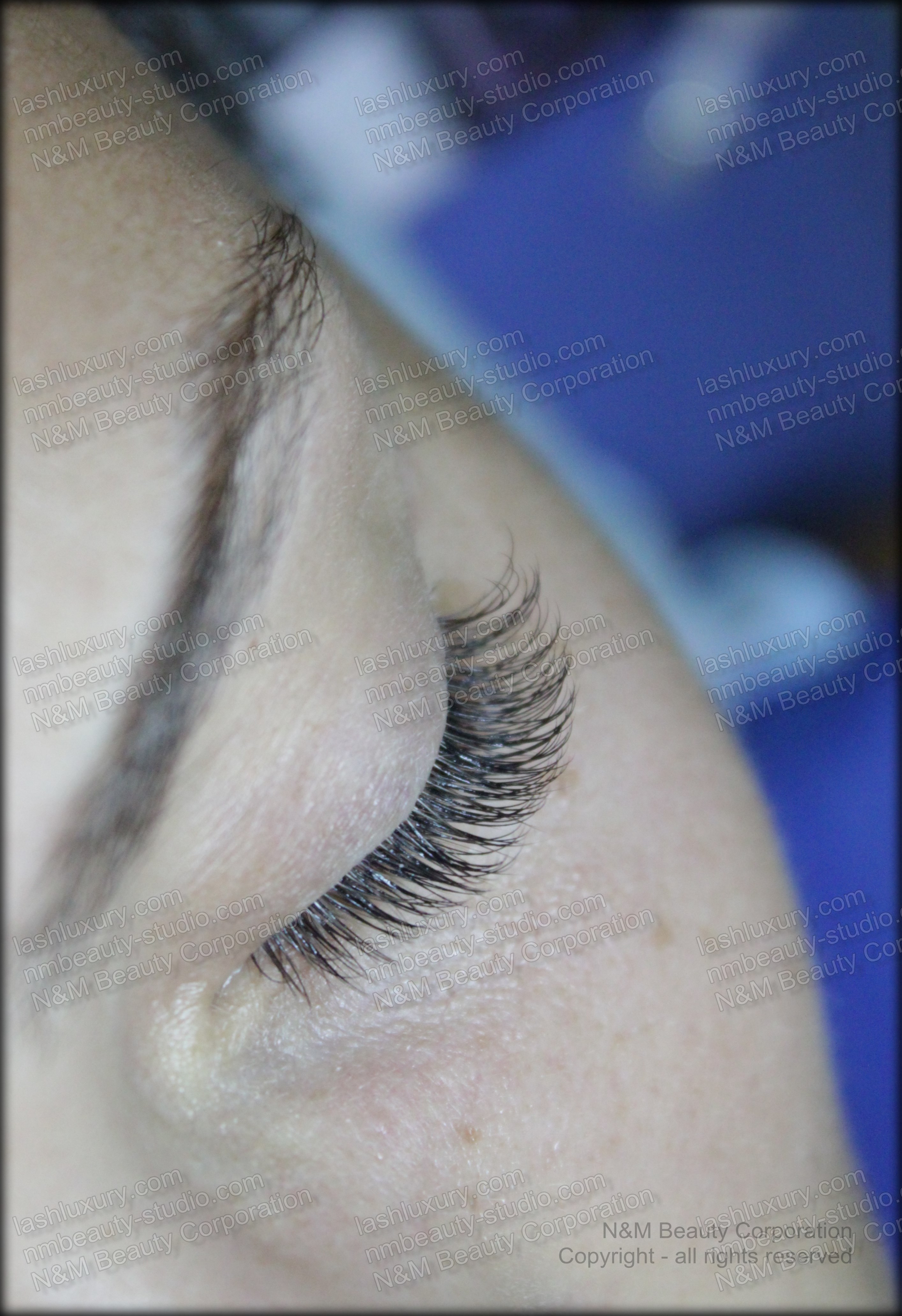 brooklyn manhattan new york eyelash extensions